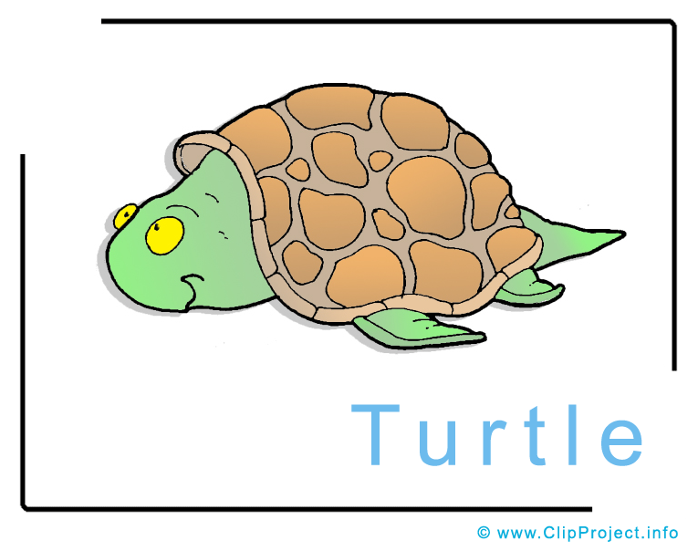 free clipart turtle pictures - photo #43