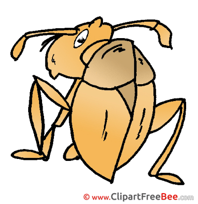 Ant Pics printable Cliparts