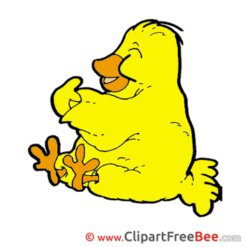 Big Canary Pics download Illustration Big Canary Pics download Illustration