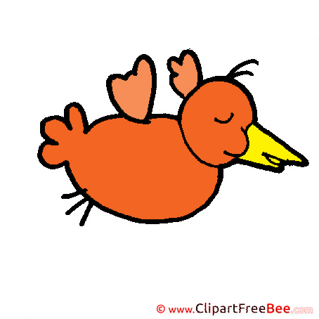 Bird Clipart free Illustrations