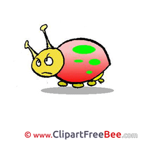 Bug Clipart free Image download