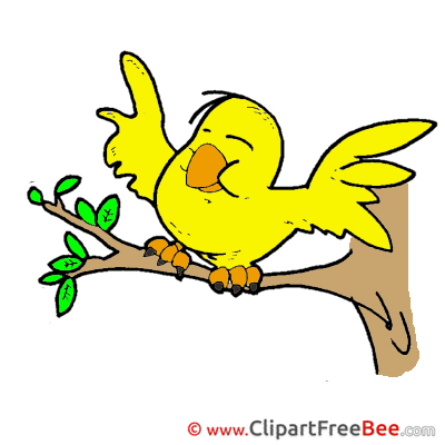 Canary printable Images for download