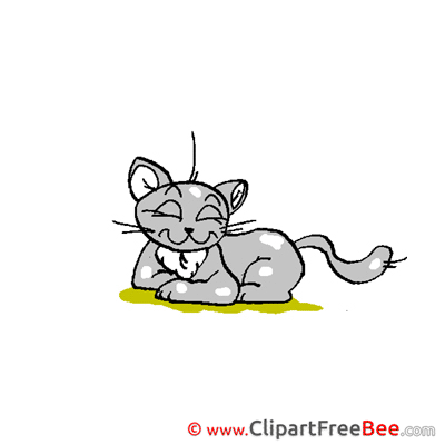 Cat free Cliparts for download