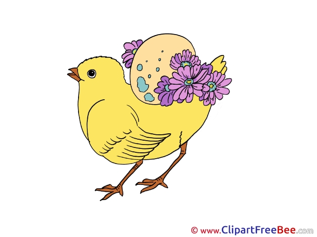 Chicken Clipart free Illustrations