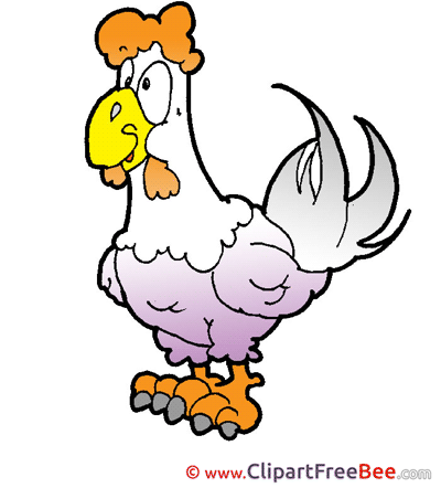 Cock printable Illustrations for free