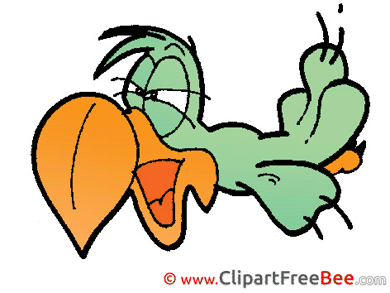 Cockatoo Clipart free Image download