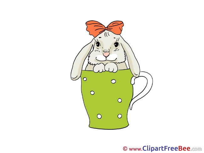 Cup Hare Images download free Cliparts