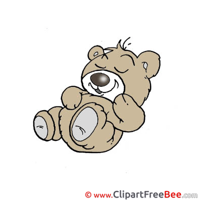 Grey Bear Pics free download Image