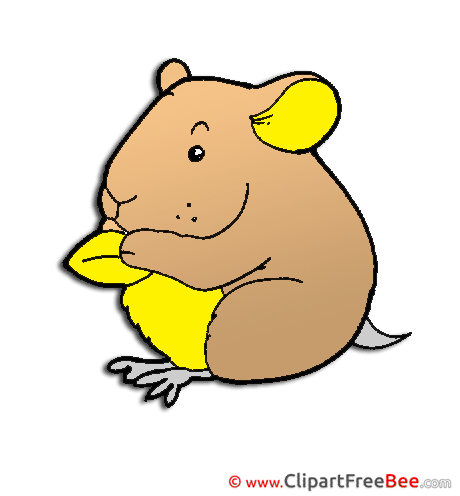 Hamster free printable Cliparts and Images