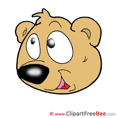 Head Bear free Illustration download