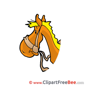 Head Horse Clipart free Illustrations