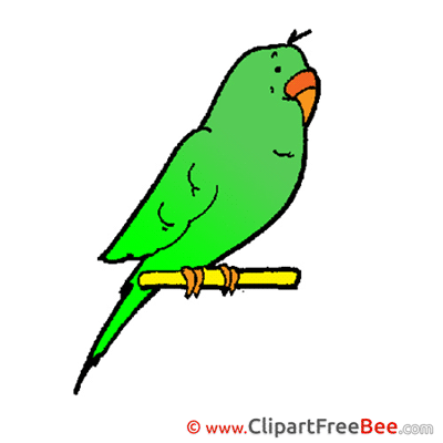 Parrot Clipart free Illustrations