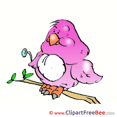 Pink Bird Pics download Illustration Pink Bird Pics download Illustration