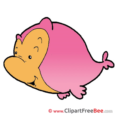 Pink Fish Pics download Illustration Pink Fish Pics download Illustration