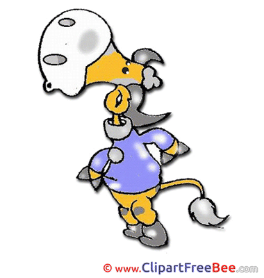 Printable Bull Illustrations for free Printable Bull Illustrations for free