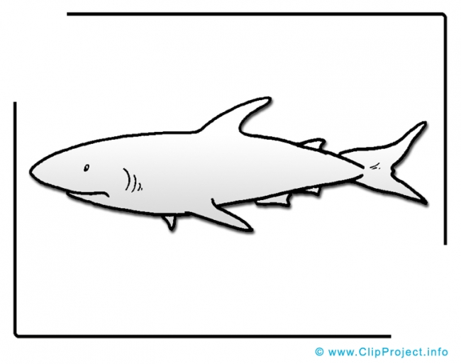 Shark Clip Art Image free - Animals Clip Art Images free