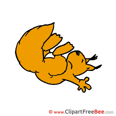 Squirrel Images download free Cliparts