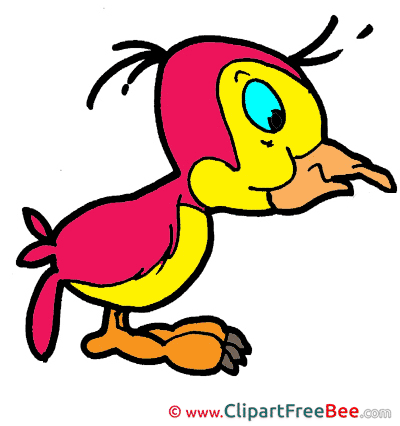 Woodpecker Clipart free Illustrations