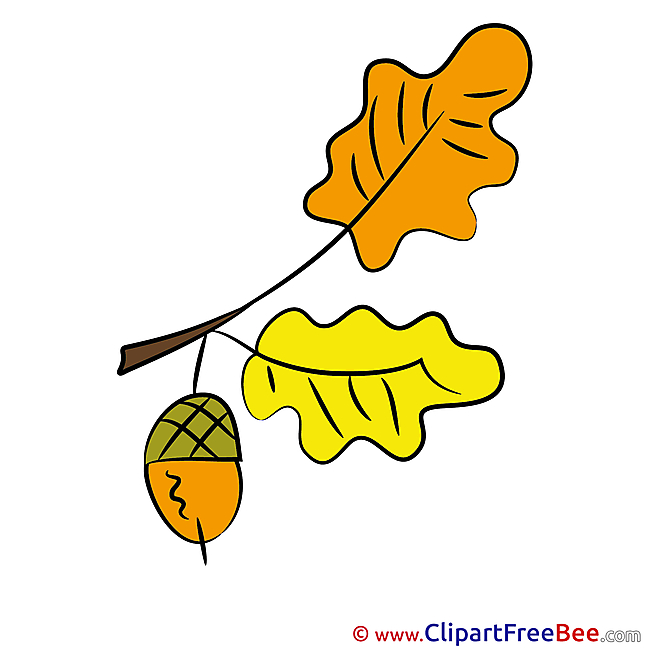 Acorn Branch printable Illustrations Autumn