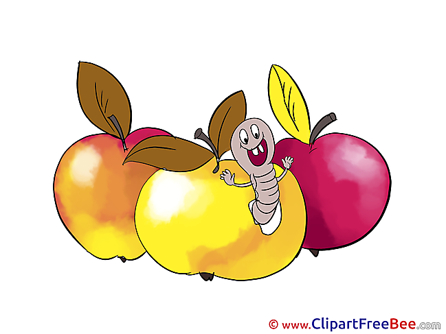 Apples download Clipart Autumn Cliparts