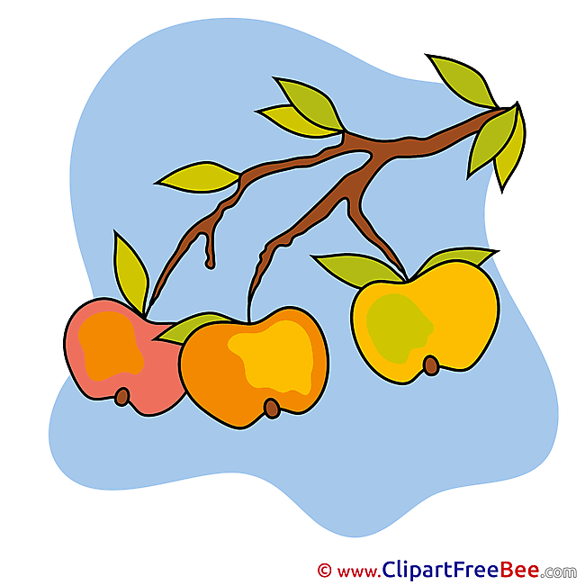 Apples Pics Autumn free Cliparts