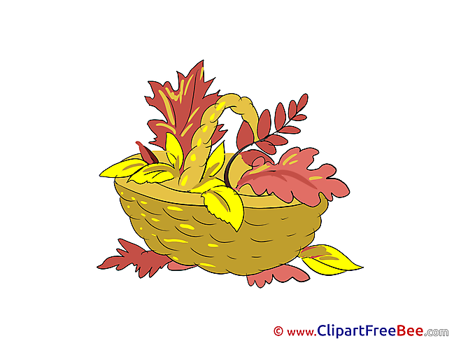 Basket Leaves Pics Autumn Illustration