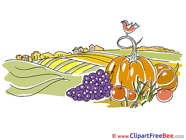 Field Vegetables Autumn download Illustration