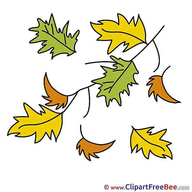 Free Leaves Cliparts Autumn