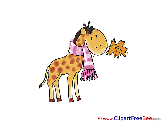 Giraffe with Leaf download Autumn Illustrations