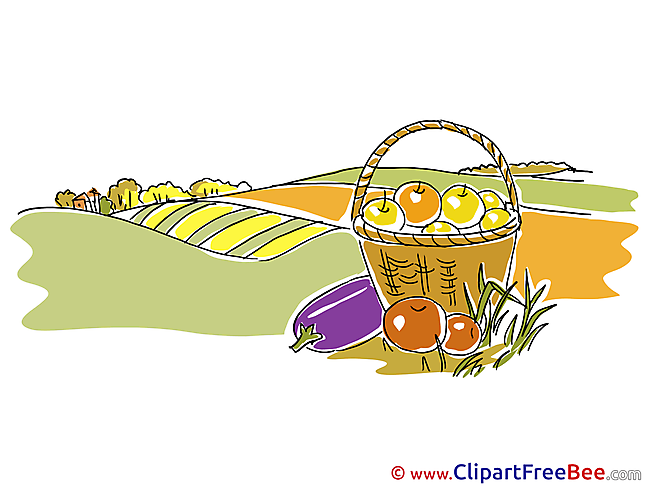 Harvest Basket Clipart Autumn free Images