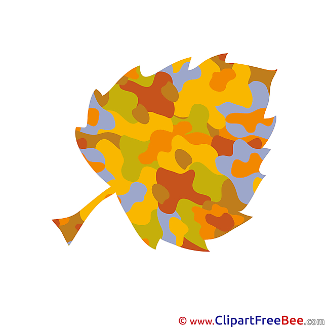 Pics Leaf Autumn Illustration