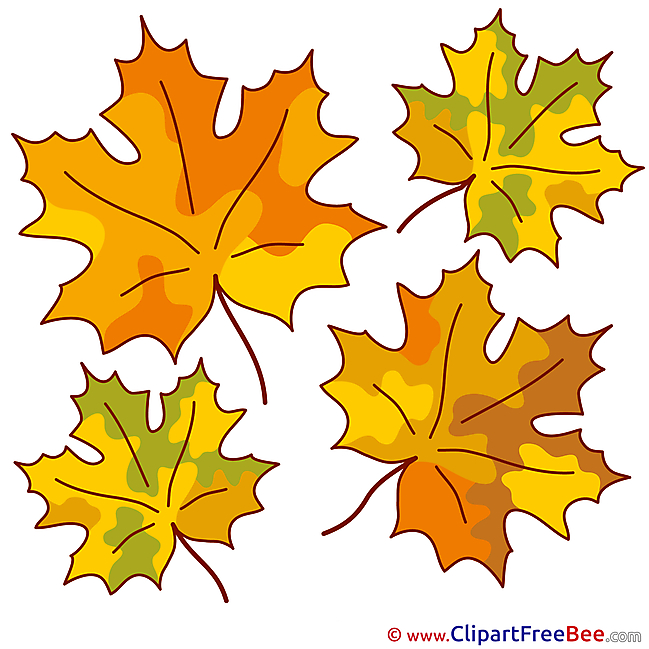 Printable Leaves Illustrations Autumn