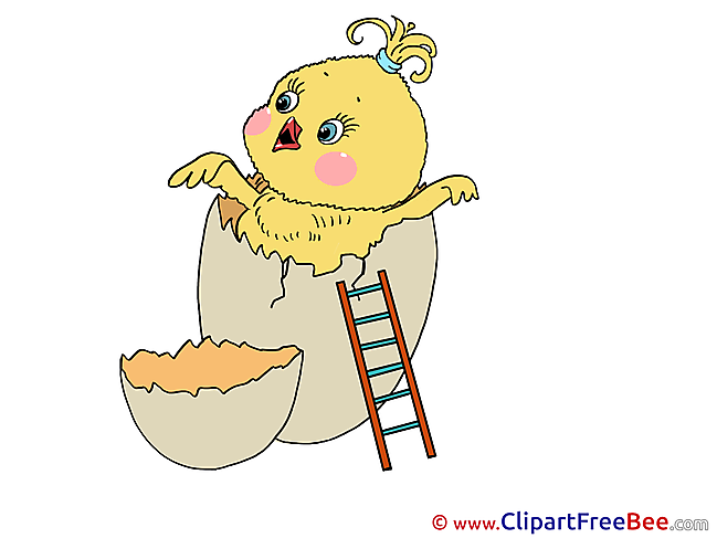 Egg Chicken Clipart Birthday Illustrations