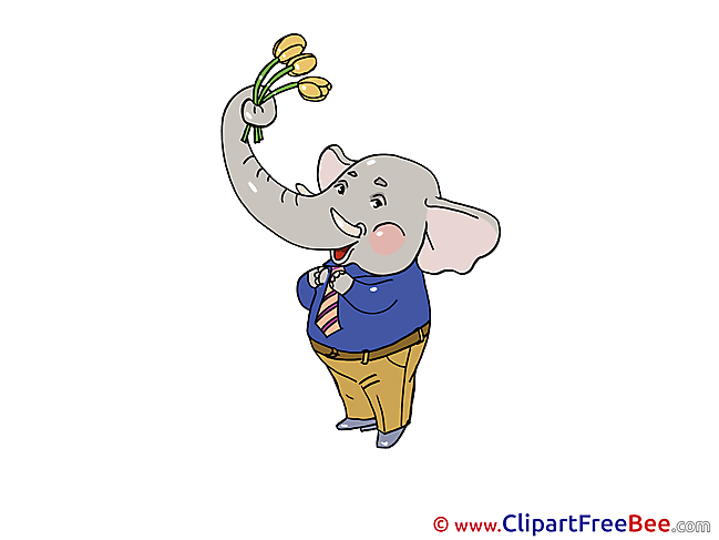 Elephant download Birthday Illustrations