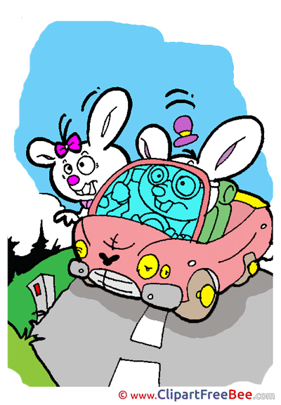 Rabbits Car free Illustration download