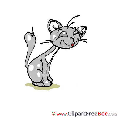 Illustration Cat free Cliparts for download