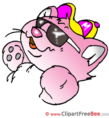 Sunglasses Cap Cat Pics free Illustration