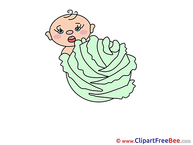 Cabbage Kid free Cliparts for download