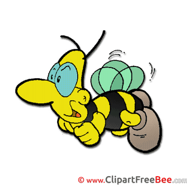 Flying Bee free Illustration Comic Flying Bee free Illustration Comic