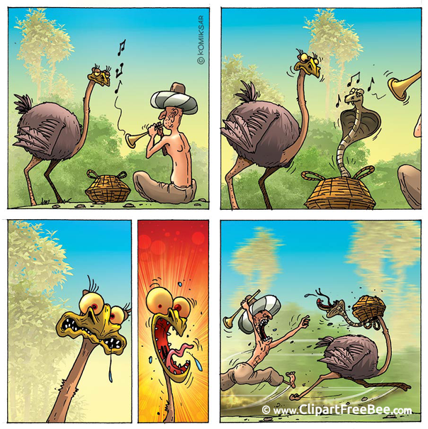 Indian Cobra Ostrich Pics Comic free Image