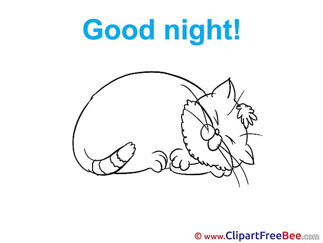 Cat free Cliparts Good Night