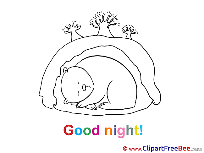 Den Bear free Illustration Good Night