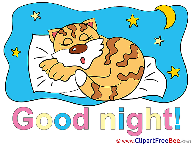 Tiger Bed Pillow Moon Pics Good Night free Cliparts