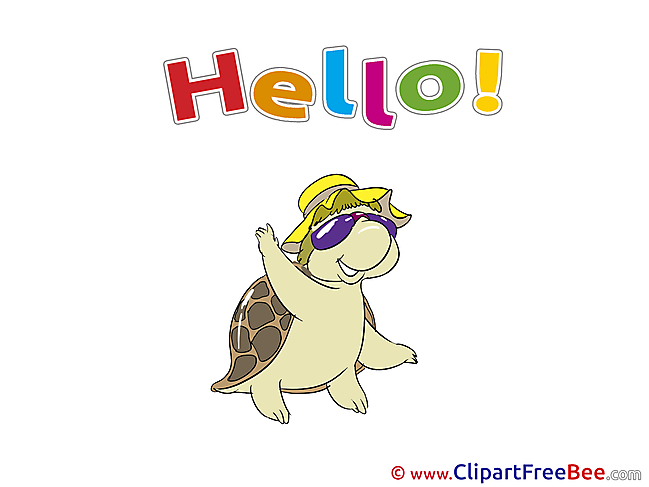 Turtle free Cliparts Hello
