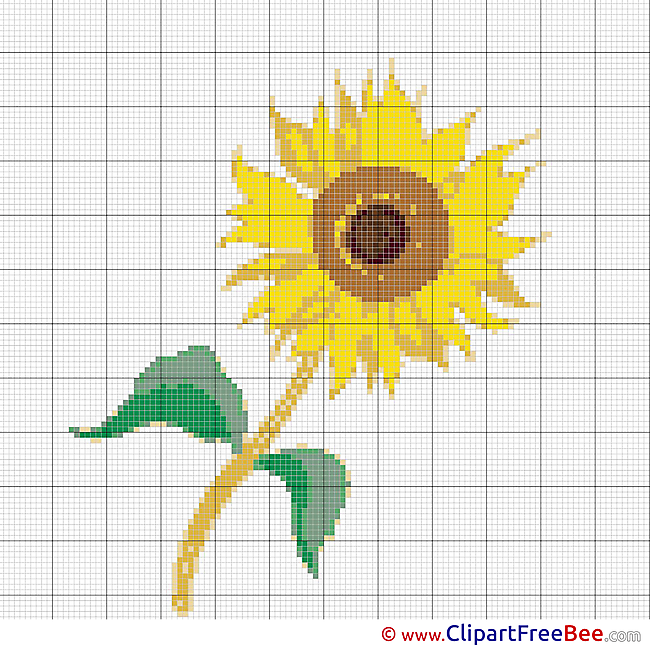 Sumflower free Cross Stitch download