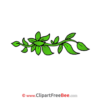 Branch Pics download Illustration