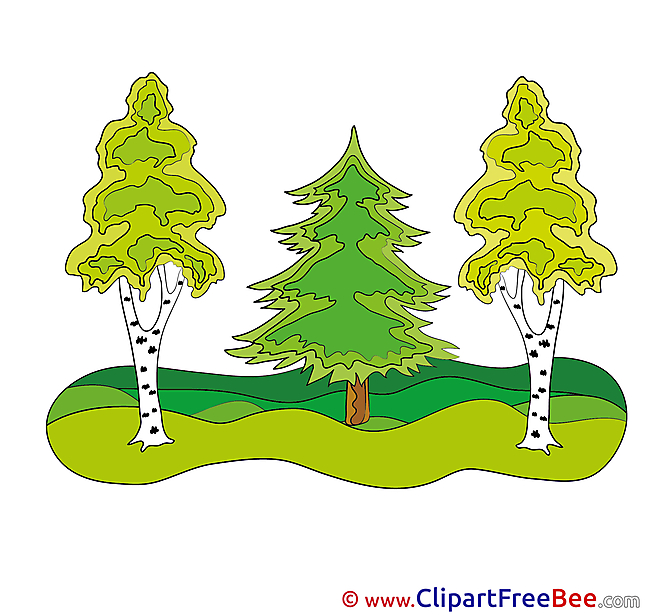 Forest Clipart free Illustrations