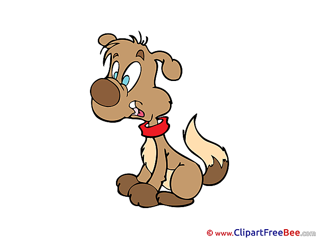 Brown Dog Pics Illustration