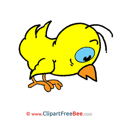 Bird printable Easter Images