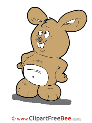 Brown Bunnies Pics